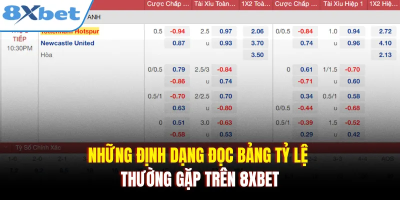 Những định dạng đọc bảng tỷ lệ thường gặp trên 8xbet